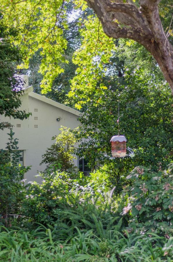 Garden Place Guest Houses Johannesbourg Extérieur photo